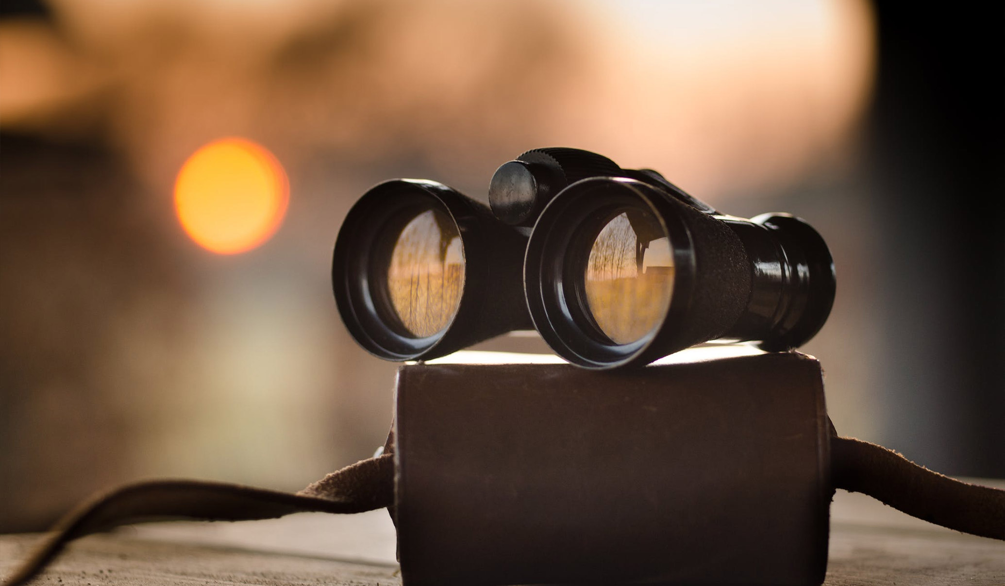 Close-up of a pair of binoculars sitting on their case